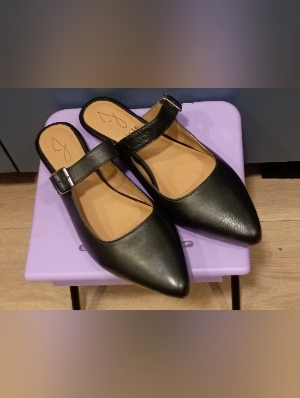 Joie Black Calfskin Pointed Toe Mary Jane Slides 9